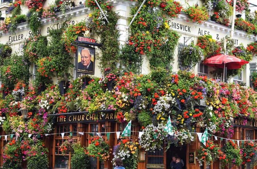 London: Kensington and Chelsea Guided Walking Tour - Starting beneath South Kensington’s museum district