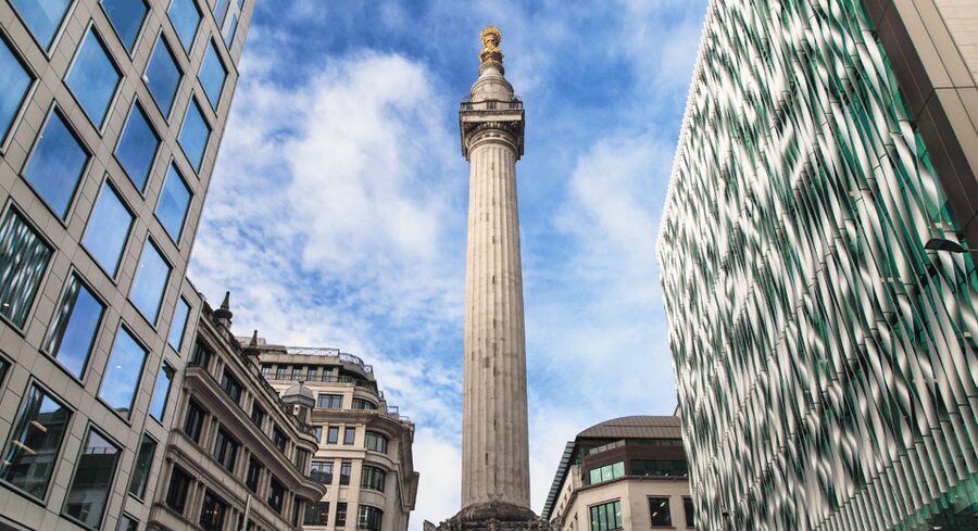 London: London Sightseeing Walking Tour with 30+ Sights - Westminster’s grand political stage