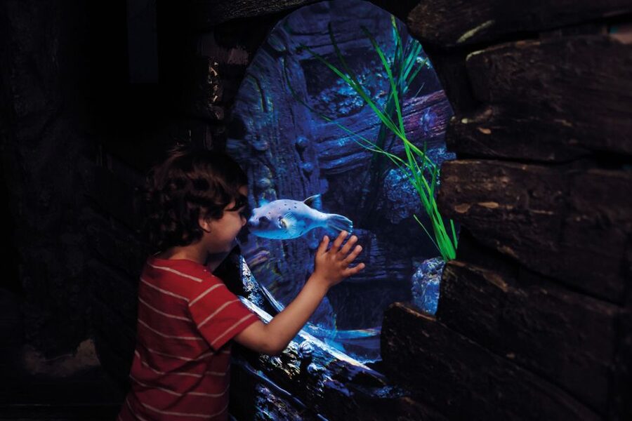 London: Madame Tussauds, London Eye & SEA LIFE Combo Ticket - Start with the stars at Madame Tussauds