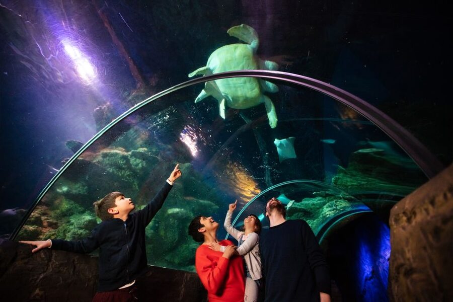 London: Madame Tussauds, London Eye & SEA LIFE Combo Ticket - How the $72 combo ticket earns its keep