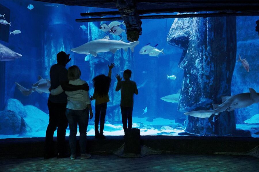London: Madame Tussauds, London Eye & SEA LIFE Combo Ticket - What the strongest praise gets right