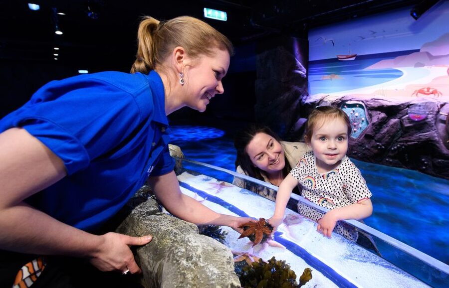 London: Madame Tussauds, SEA LIFE and London Dungeon Entry - How to use the 90-day validity well