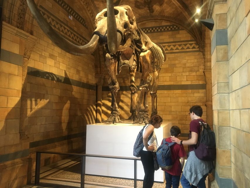 London: Natural History Museum Entry Ticket and Guided Tour - Hintze Hall and the 82-foot blue whale