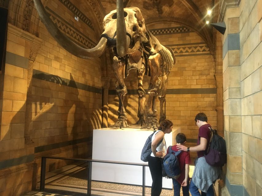 London: Natural History Museum Entry Ticket and Guided Tour - Meeting your guide on Exhibition Road