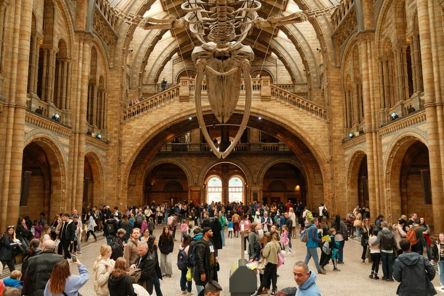London: Natural History Museum Guided Tour - Key points at a glance