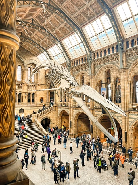 London: Natural History Museum Guided Tour - Sophie the Stegosaurus and the pull of the dinosaurs