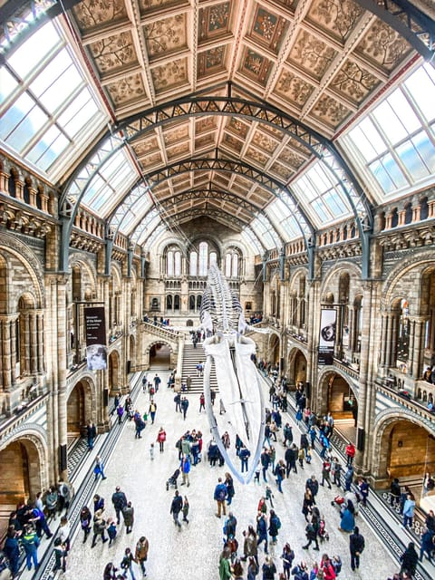 London: Natural History Museum Guided Tour - From Iguanodon teeth to Sophie the Stegosaurus