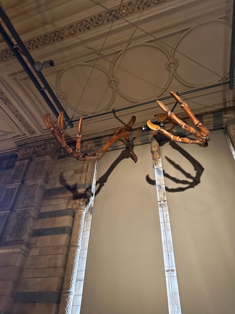 London: Natural History Museum Private Guided Tour - The people behind changing ideas