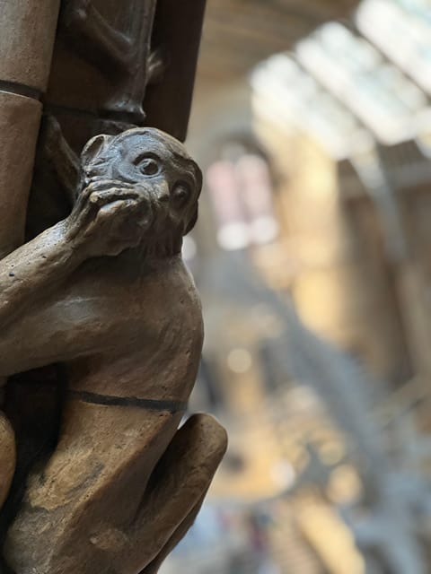 London: Natural History Museum Private Guided Tour - Hope the blue whale and the scale of life