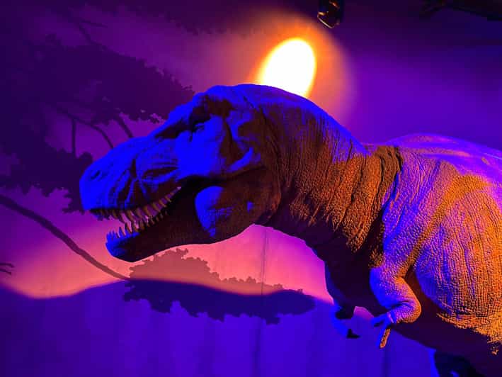 London: Natural History Museum Private Guided Tour - How the private format changes the visit