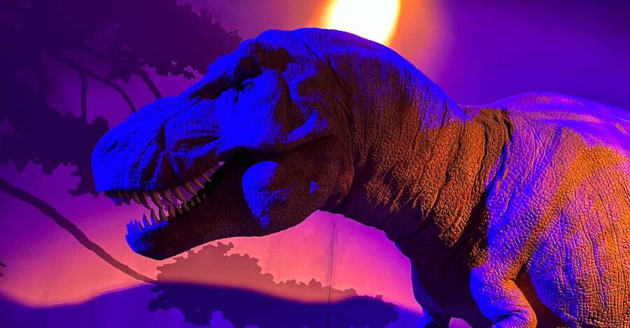 London: Natural History Museum Private Guided Tour - Stairs, lifts, and the pace of the route