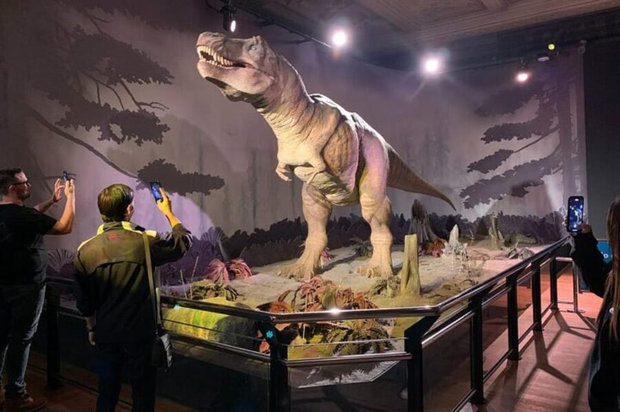 London: Natural History Museum Private Tour & Skip the line - Why two focused hours work well at the Natural History Museum