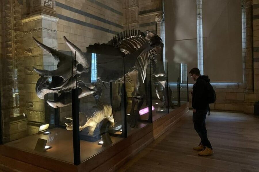 London: Natural History Museum Private Tour & Skip the line - The dinosaur rooms and their fossil stories