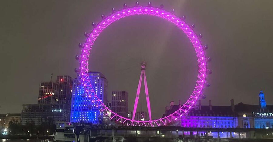 London: Private Black Cab Night Tour with Hotel Pick Up - Buckingham Palace and the royal route