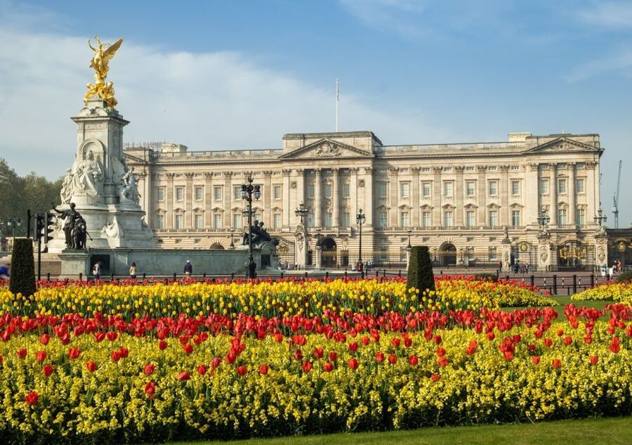 London: Private Walking Tour in Spanish - Churchill War Rooms, Downing Street, and Westminster