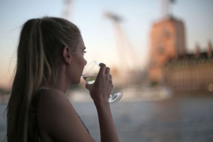London: River Thames Evening Cruise with Bubbly and Canapés - Price, timing, and who gets the most value
