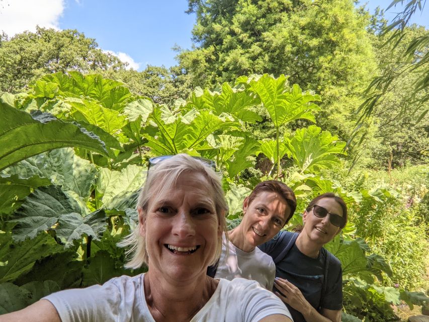 London: Royal Deer Park Bike Tour - Choosing the full-day route to Twickenham