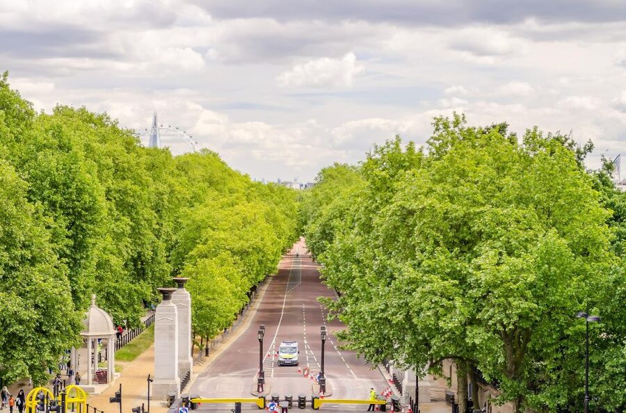 London Royal Tour - Buckingham Palace Entry - 12 guests 2,5h - What the $186 price really buys you