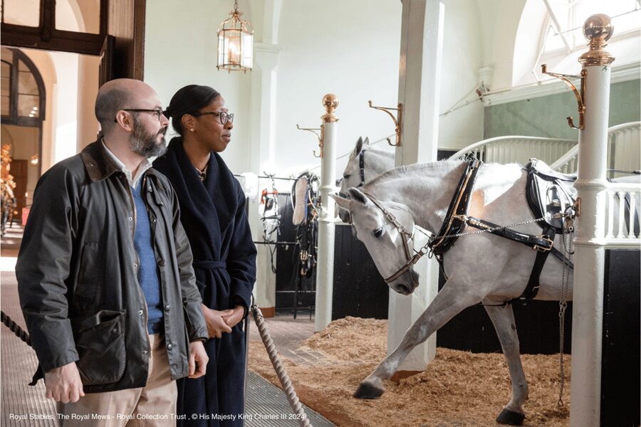 London: Royal Walking Tour with Guard Change & Royal Mews - St. James’s Park and Wellington Barracks