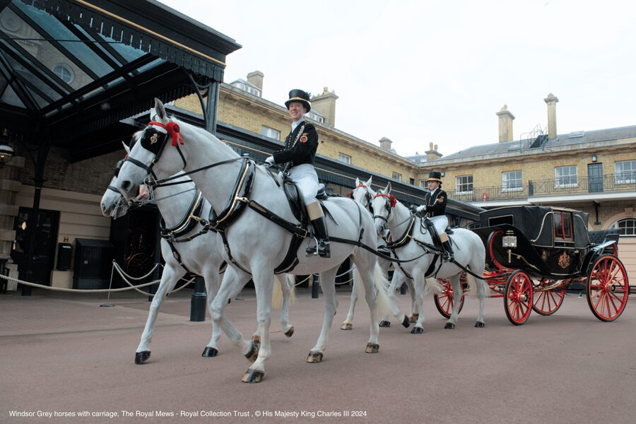 London: Royal Walking Tour with Guard Change & Royal Mews - Buckingham Palace State Rooms, when they are open