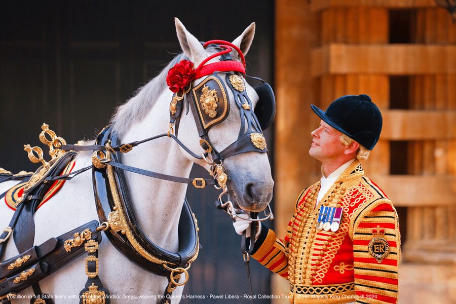 London: Royal Walking Tour with Guard Change & Royal Mews - Guides, group rhythm, and the real-world experience