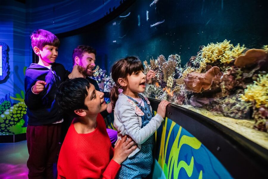 London: SEA LIFE Entry Ticket - Booking, arrival, and practical details