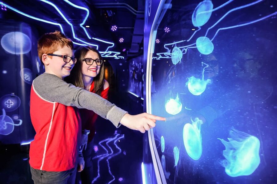 London: SEA LIFE Entry Ticket - Interactive features and virtual experiences