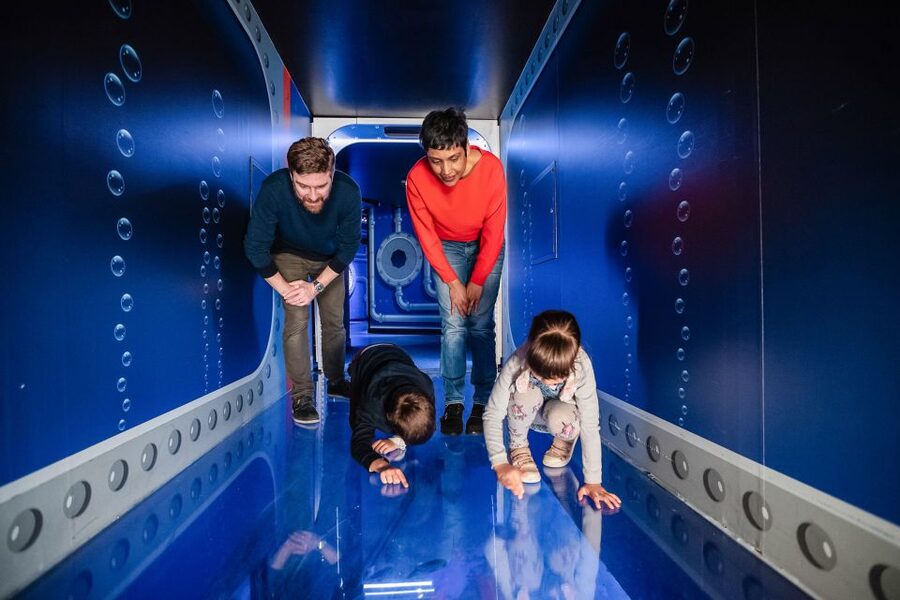 London: SEA LIFE Entry Ticket - Is $37 a fair price?