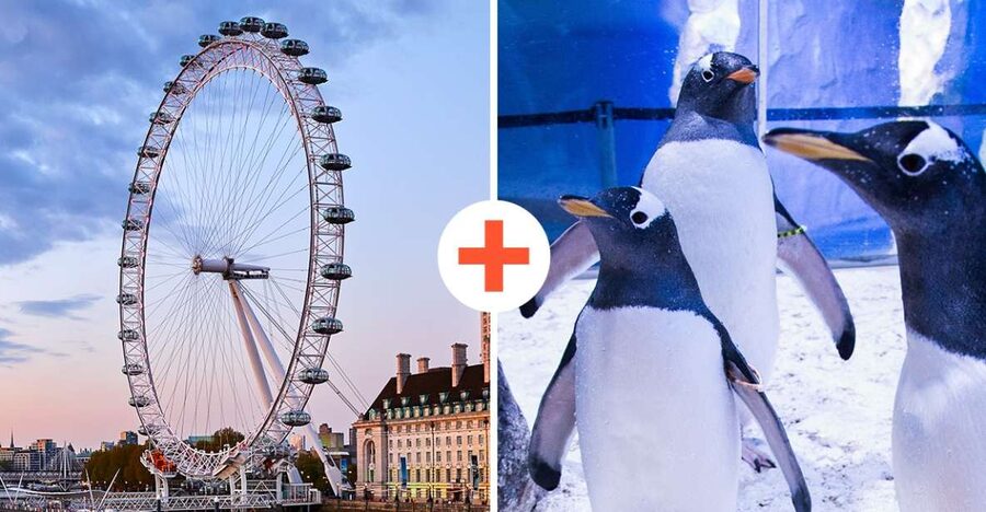 London: SEA LIFE & London Eye Combo Ticket - Families, couples, and mixed-age groups
