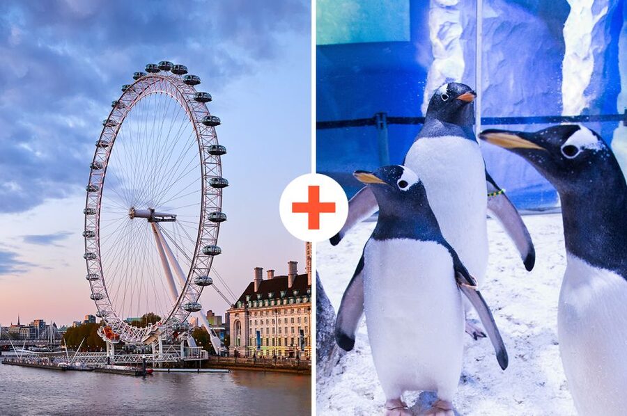 London: SEA LIFE & London Eye Combo Ticket - Inside SEA LIFE London’s 14 themed zones
