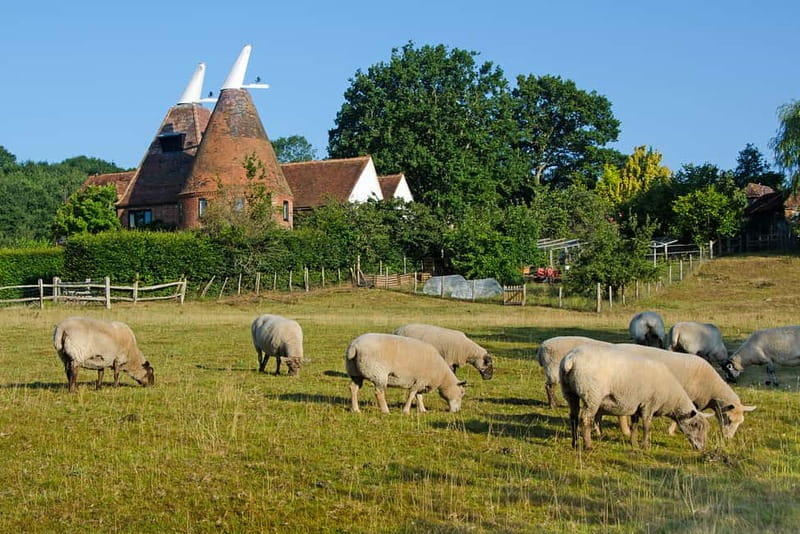 London: Small Group Canterbury, Dover & Kent Villages Tour - Canterbury Cathedral and the old city
