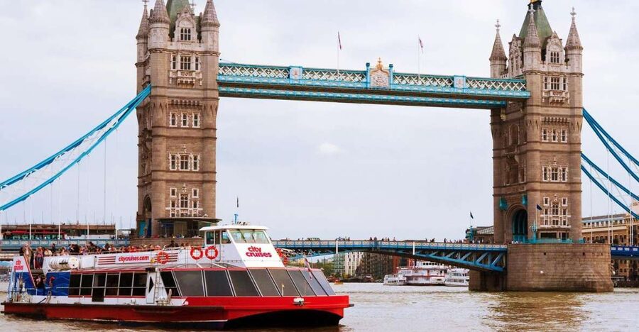 London: Thames River Cruise and 3-Hour Westminster Tour - Who will get the most from this tour