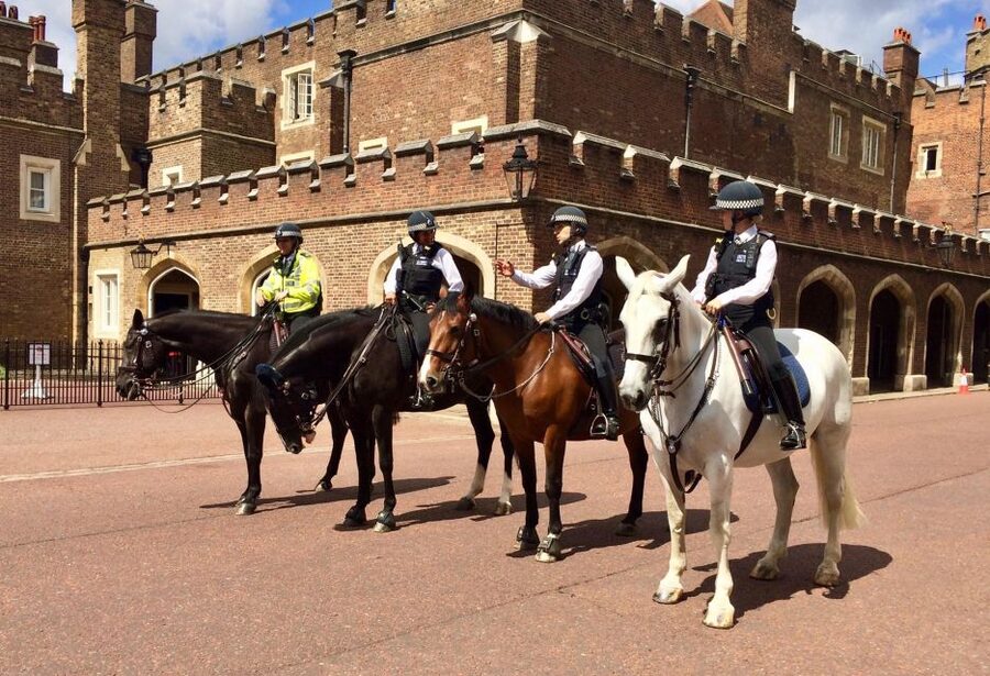 London: Thames River Cruise and 3-Hour Westminster Tour - Trafalgar Square and the royal route through Whitehall