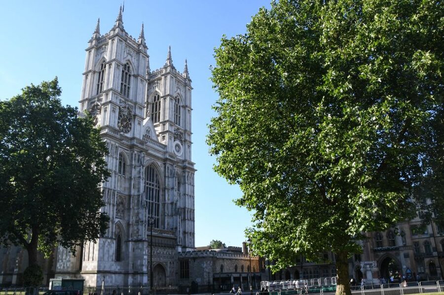 London: Top 30 Sights Walking Tour and London Dungeon Entry - Tower Bridge, the Tower of London, and the city’s darker side