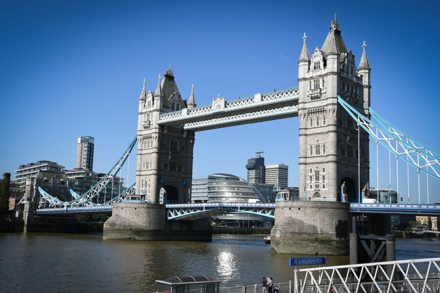 London: Top 30 Sights Walking Tour and London Eye Ride - Buckingham Palace and the royal route