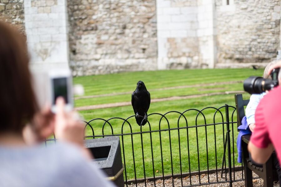 London: Tower of London Tour with Crown Jewels & Beefeaters - Why a guide helps at the Tower of London