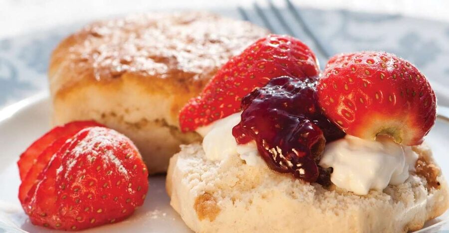 London Vintage Bus Tour and Cream Tea at Harrods - Who gets the best value from this tour