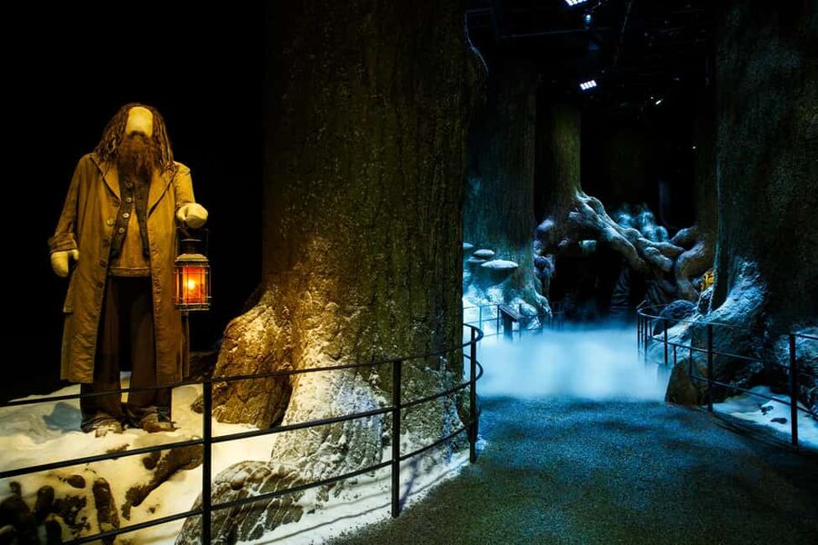 London: Warner Bros. Studio Tour with Return Transportation - Choose your departure with care