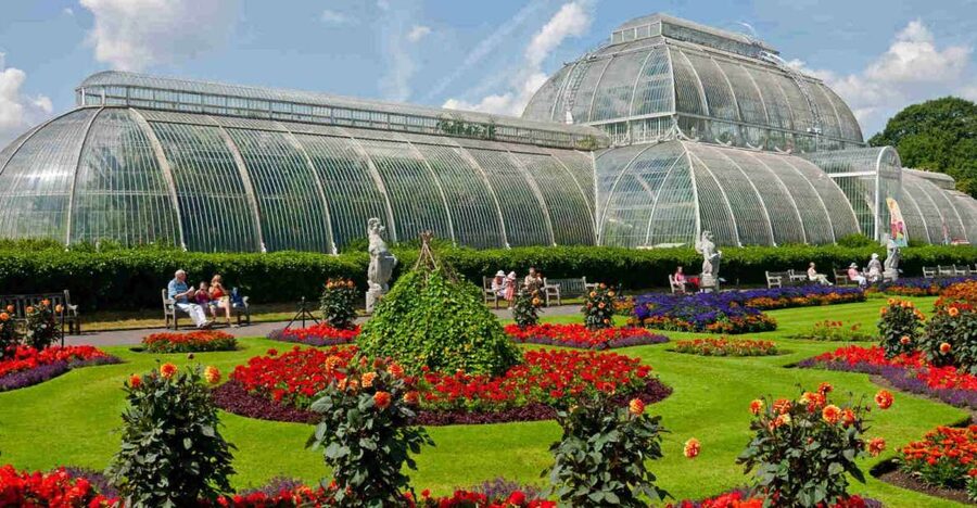 London: Westminster Walking Tour and Visit to Kew Gardens - Making your own way to Kew Gardens