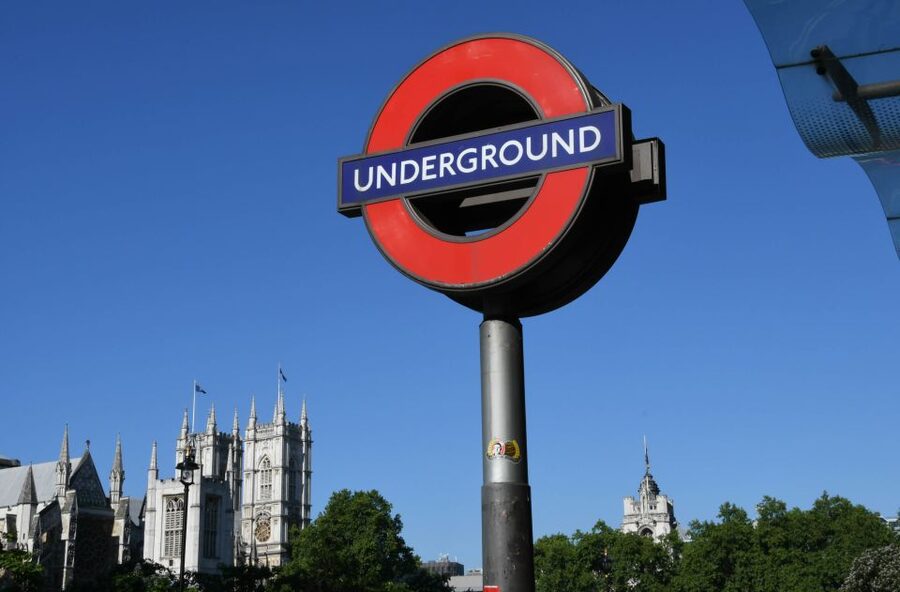 London: Westminster Walking Tour & The Tower of London Entry - Buckingham Palace and the Changing of the Guard
