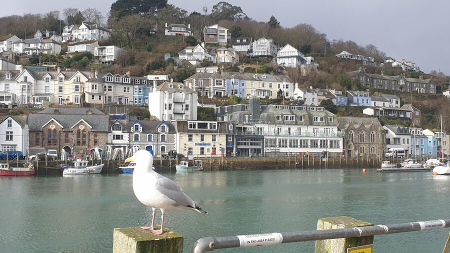 Looe: Beyond Paradise TV Locations Tour - Backstreets, medieval buildings, and local businesses