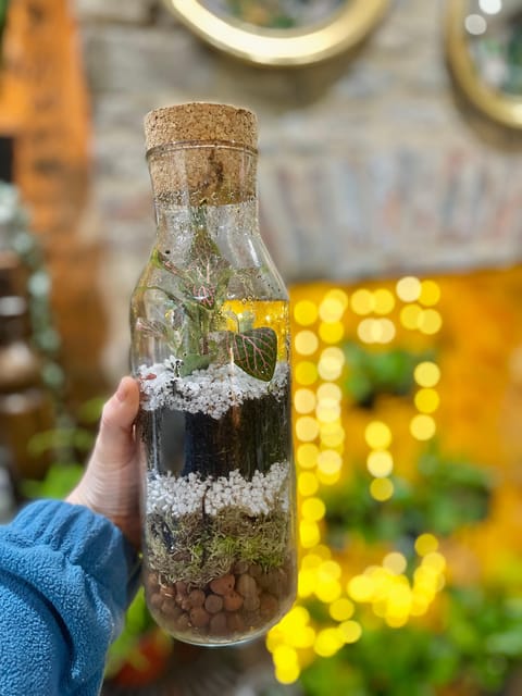 Make Your Own Terrarium in a houseplant paradise - Key points at a glance