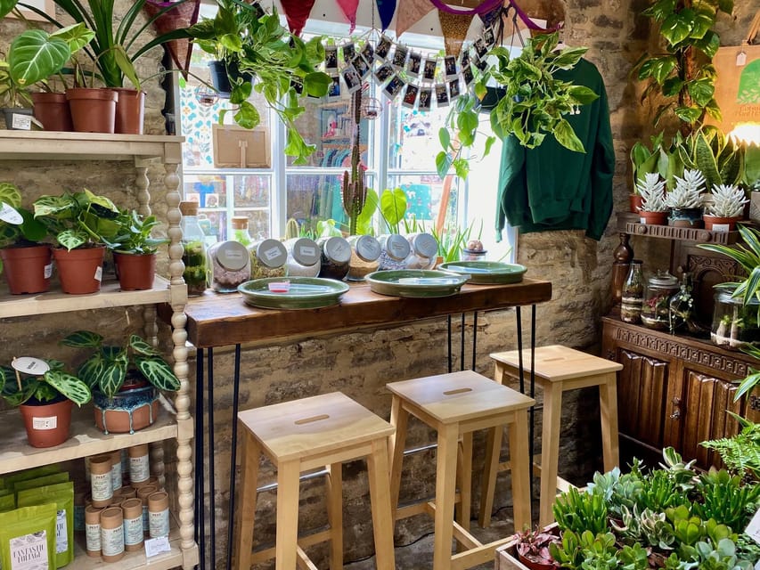 Make Your Own Terrarium in a houseplant paradise - Choosing a plant and personalizing the jar