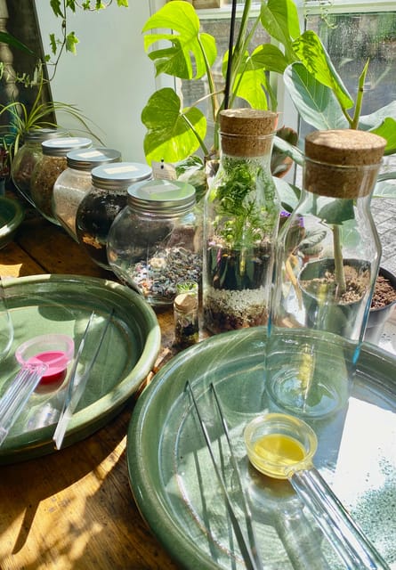 Make Your Own Terrarium in a houseplant paradise - How personal is the instruction?