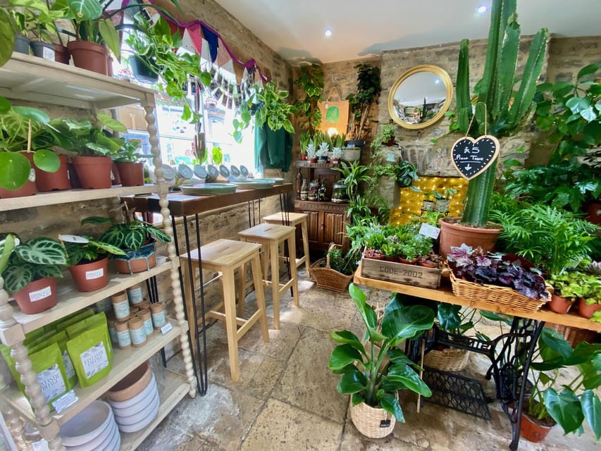 Make Your Own Terrarium in a houseplant paradise - Is the $40 price good value?