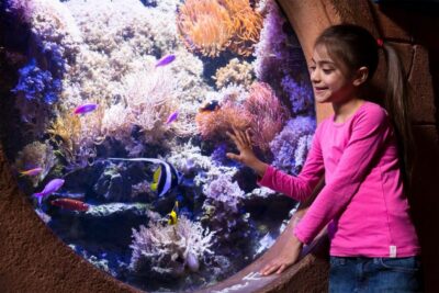 SEA LIFE Entrance Ticket