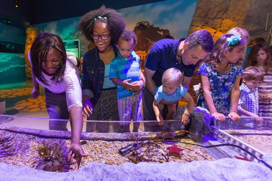 Manchester: SEA LIFE Entrance Ticket - Is $21 good value for a 1.5 to 2 hour visit?