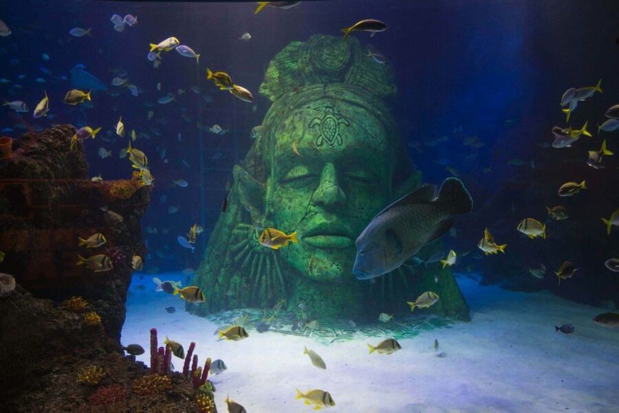 Manchester: SEA LIFE Entrance Ticket - Practical planning for your visit