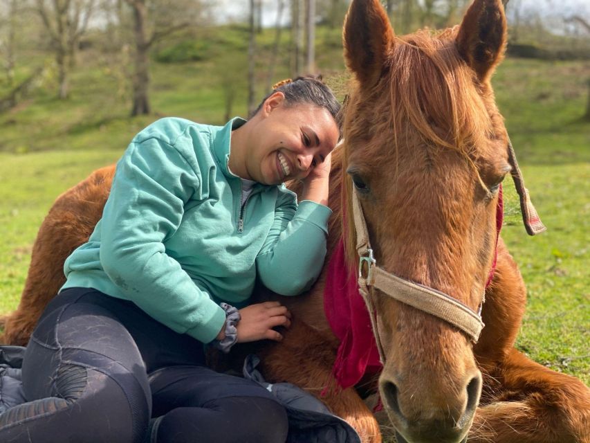 Meditate With Horses - Key points before you book