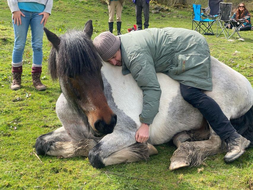 Meditate With Horses - Who will enjoy this, and who may not